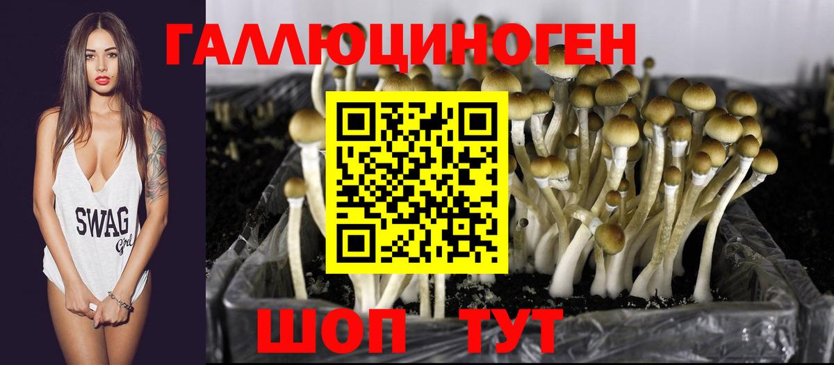 Псилоцибиновые грибы MAGIC MUSHROOMS  Галлюциногенные грибы Cubensis  магазин    Вход с VPN  Кропоткин 